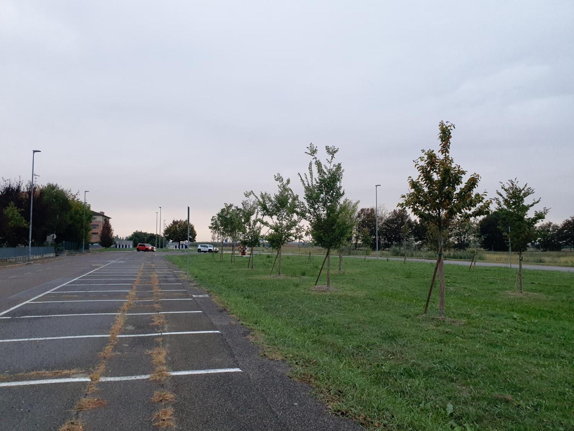 Appartamento Divino Tramonto Altedo Exteriör bild