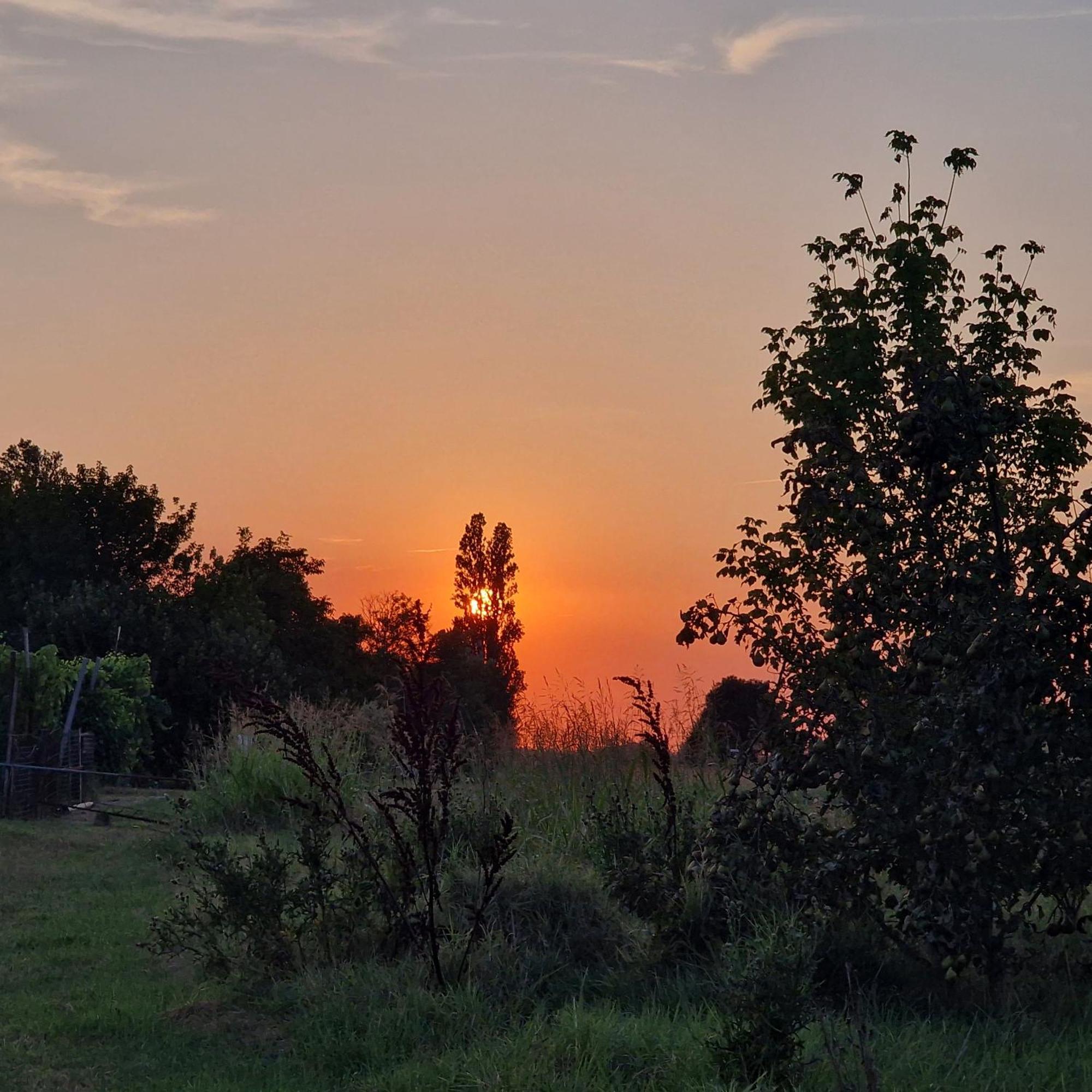 Appartamento Divino Tramonto Altedo Exteriör bild