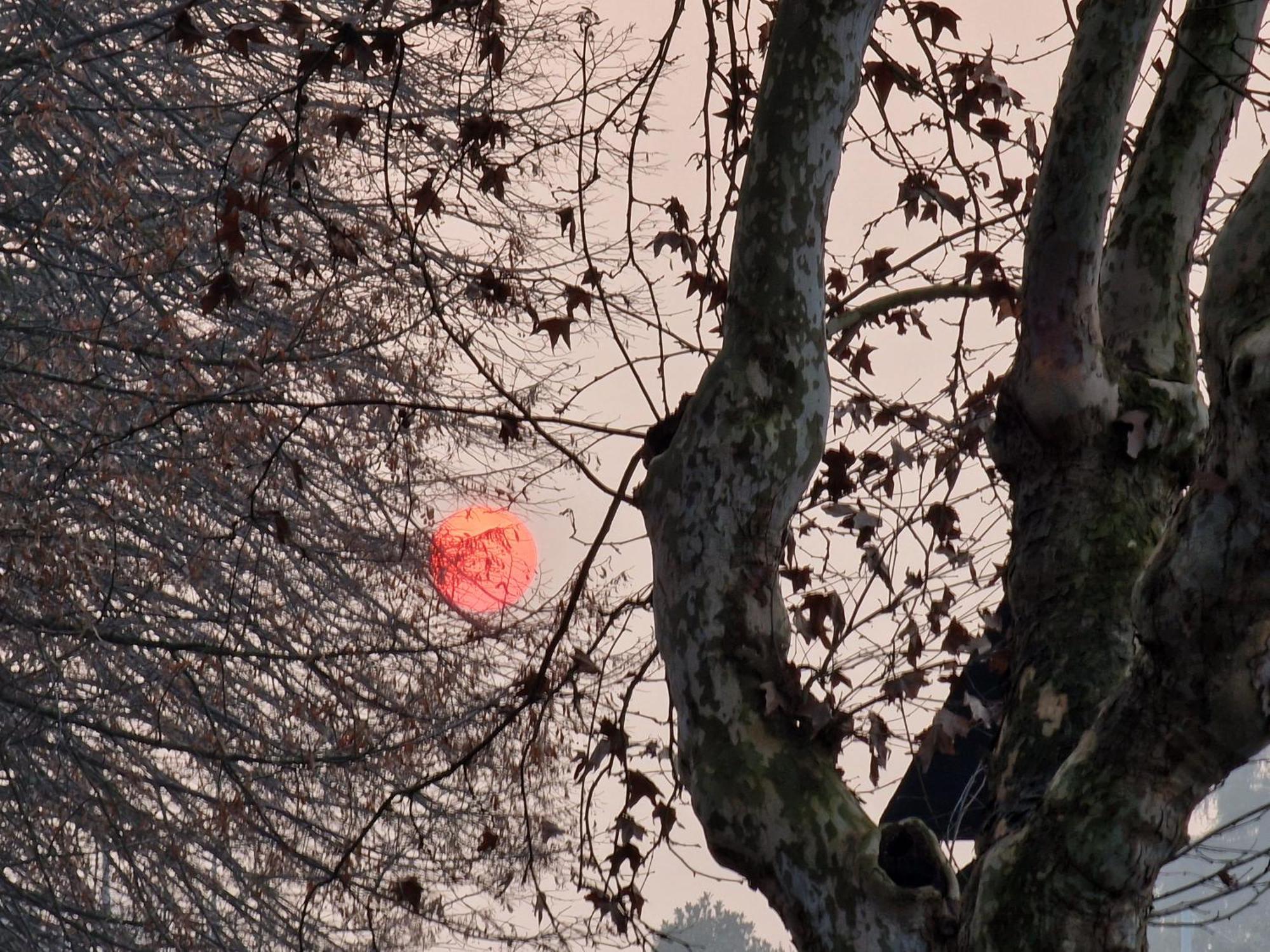 Appartamento Divino Tramonto Altedo Exteriör bild